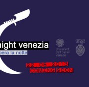 Venice Art Night 2013