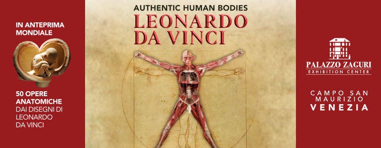 Authentic human bodies. 50 works by Leonardo da Vinci
